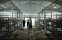 Several people standing in the middle of an alleyway lined with cells on both sides where undocumented immigrants are being held