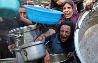 Mothers in Gaza begging for a plate of food for their children and families