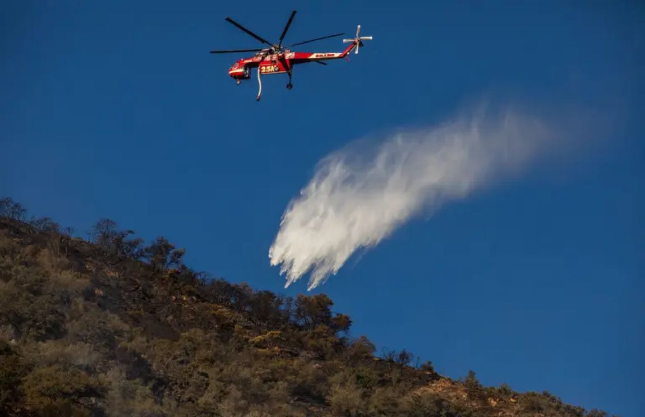 Border Patrol detains firefighters during operation in Washington