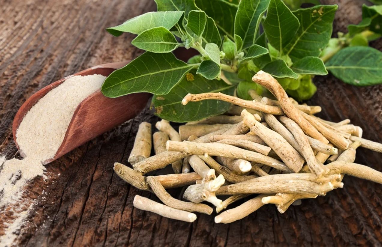 Ashwagandha takes over sales: The supplement that promises calm and rest
