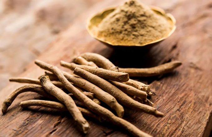 Some branches of Ashwagandha on a table next to a bowl containing the same product in powdered form