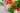 A delicious plate of salad with green and colorful vegetables accompanied by a piece of chicken