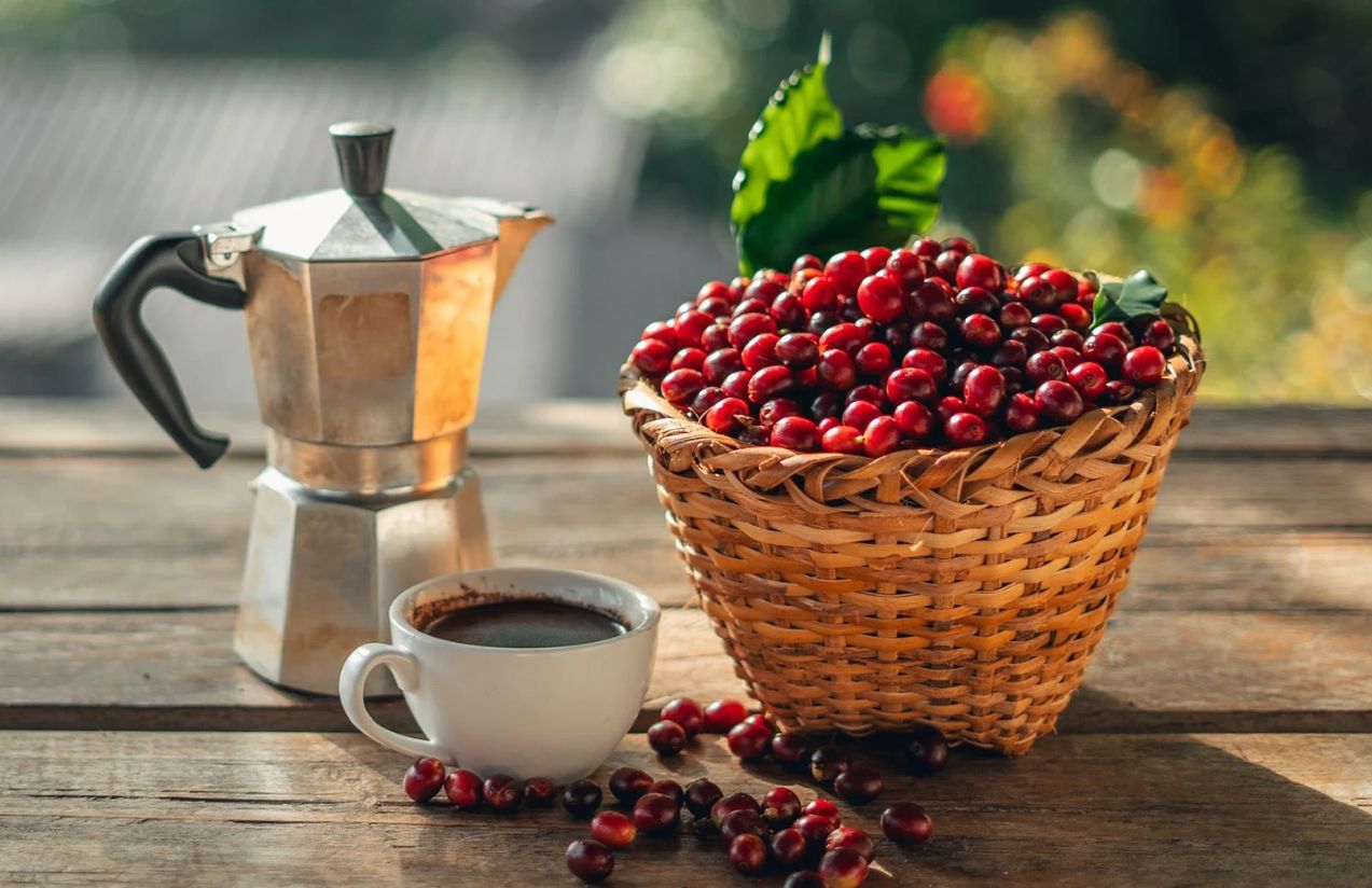 The scientific truth: Morning coffee really boosts your mood, according to Harvard and european researchers