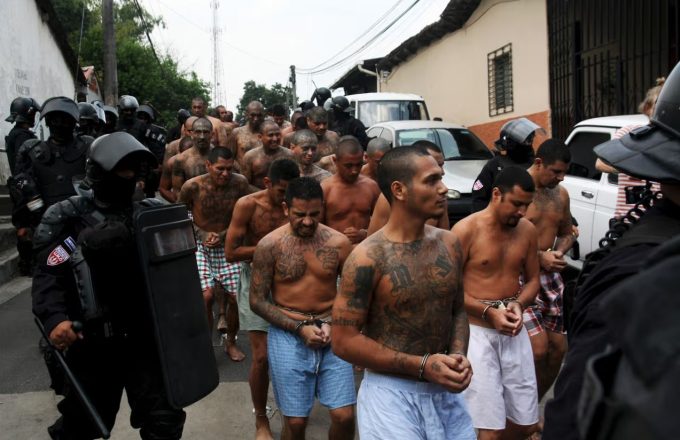 Several Mara Salvatrucha gang inmates being escorted to a transport vehicle while surrounded by heavily armed police officers