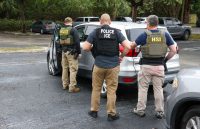 Three ICE agents stopping a car to conduct an immigration check
