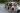 Three ICE agents stopping a car to conduct an immigration check