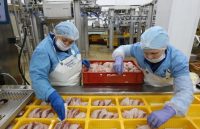 ChatGPT Plus Two workers packing chicken into yellow boxes