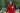 The billionaire woman wearing a red jacket during one of her walks in the park