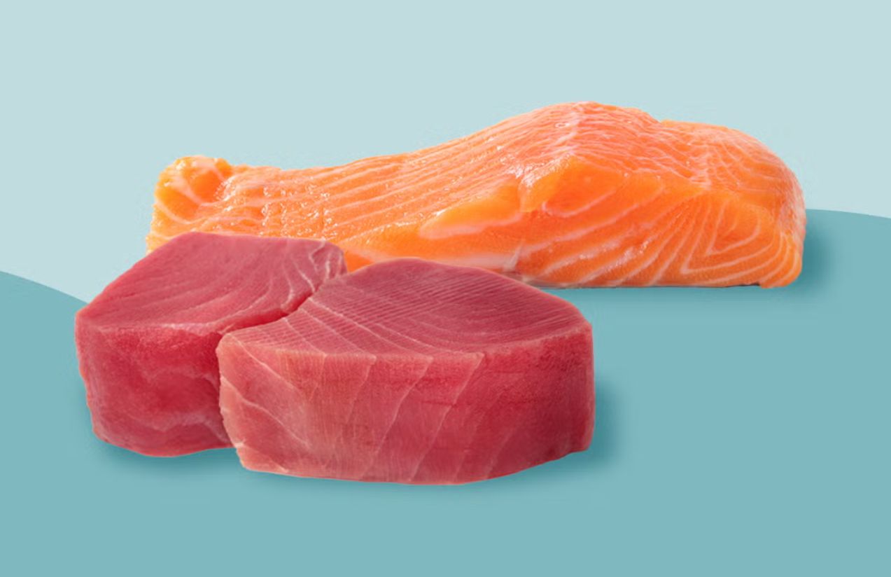 Salmon or tuna: Which is the best choice to lose weight, boost energy, and protect your health? Salmon or tuna: Which is the best choice to lose weight, boost energy, and protect your health?