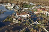 Several homes were flooded with water reaching up to the rooftops, and some trees and cars were destroyed nearby