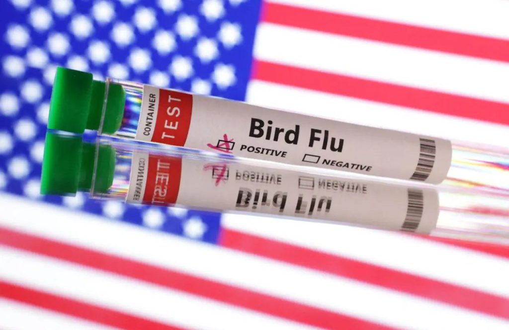 United States reports its first human infection with the H5N5 avian flu variant A test tube placed on a glass table showing a positive result for H5N5
