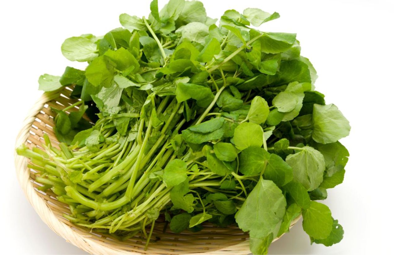 Watercress crowned the healthiest vegetable in the world Watercress crowned the healthiest vegetable in the world