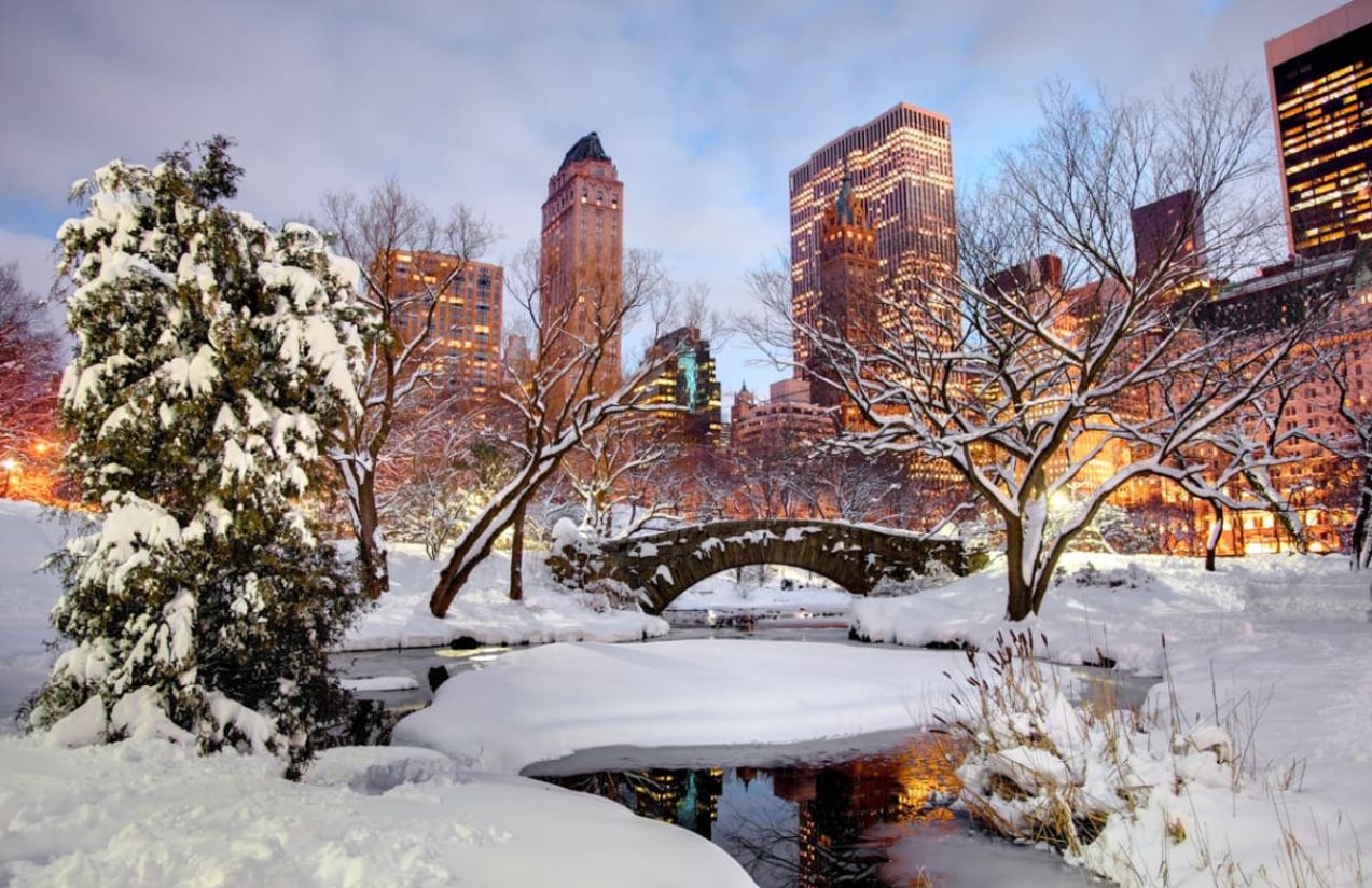 The renowned Central Park covered in snow along its paths and bodies of water