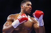The well-known British boxer wearing his red gloves for a fight