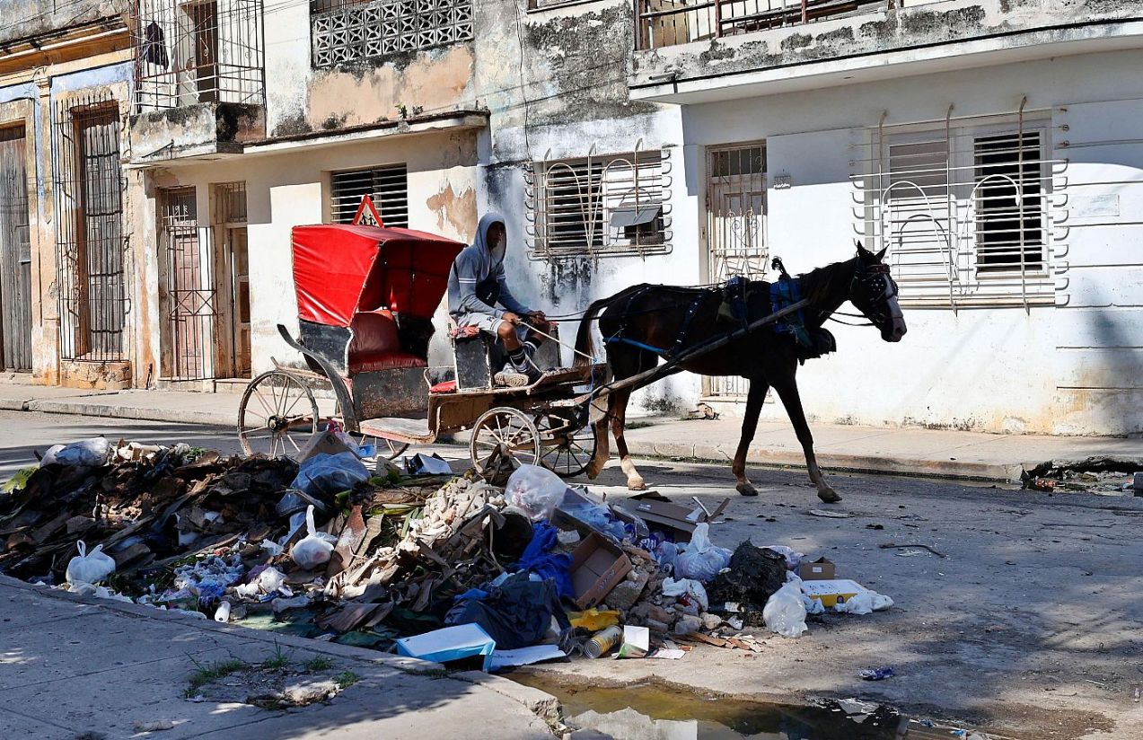 Cuba surpasses 1,000 new cases of dengue and chikungunya in a single day