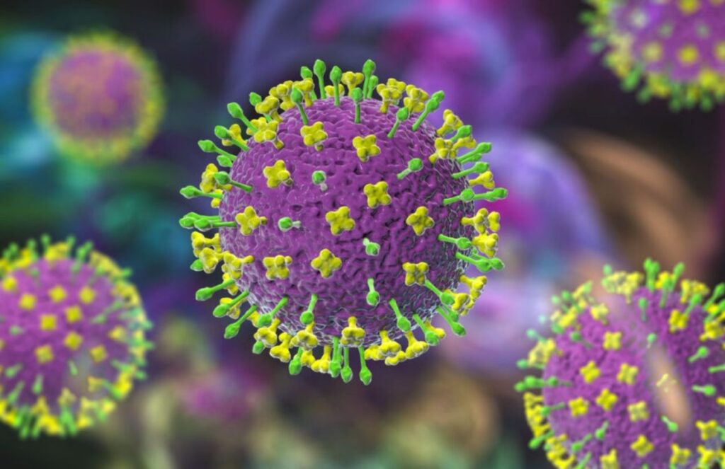 India on health alert after detecting cases of the deadly Nipah virus An image showing several purple viruses with green spikes