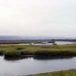 A panoramic view of the important but heavily polluted river that flows through the United States