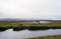 A panoramic view of the important but heavily polluted river that flows through the United States