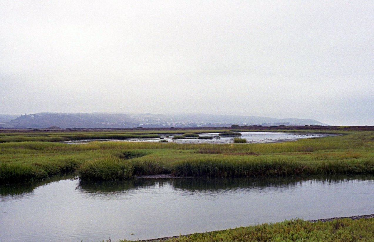 A panoramic view of the important but heavily polluted river that flows through the United States