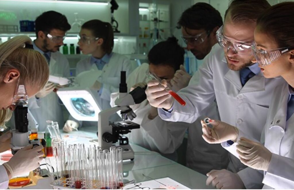 traducir Several scientists in a laboratory working with microscopes and pipettes