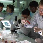 traducir Several scientists in a laboratory working with microscopes and pipettes