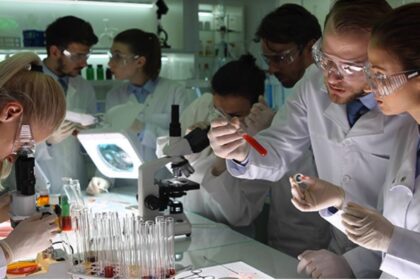 traducir Several scientists in a laboratory working with microscopes and pipettes