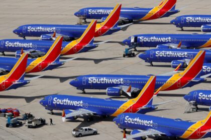 Many airplanes from the famous airline parked at a gigantic airport
