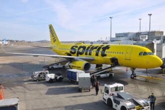 A Spirit Airlines plane being loaded with luggage and passengers at an airport.