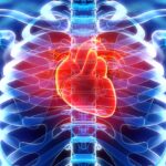 An X-ray image showing a person’s heart and bones