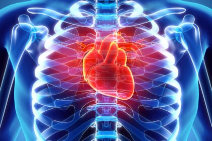An X-ray image showing a person’s heart and bones