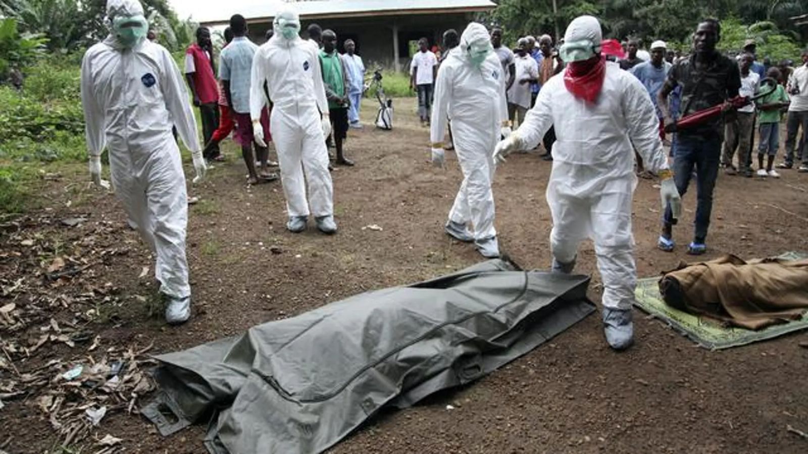 World Health Organization declares international emergency over Ebola outbreak and global concern grows World Health Organization declares international emergency over Ebola outbreak and global concern grows