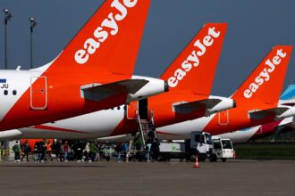 Several easyJet airplanes parked with their white and red colors.