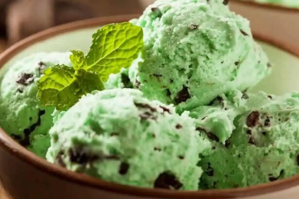 A bowl of organic mint chocolate ice cream.