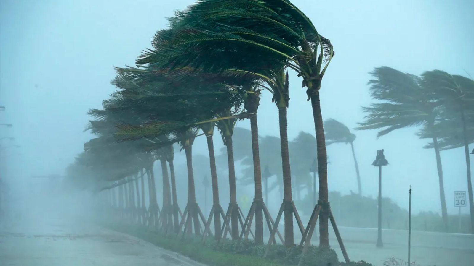 El Niño phenomenon could reduce the intensity of the Atlantic hurricane season