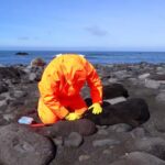 A veterinarian performing some tests on a small sick seal