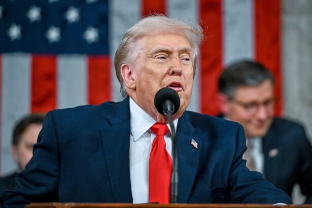 Trump speaking into a microphone at a podium in front of a large crowd