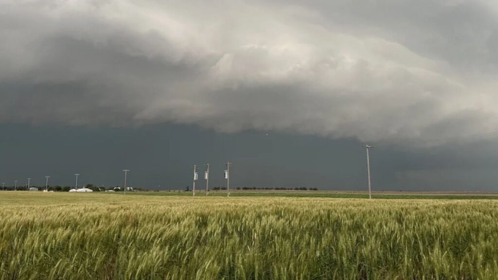 A gray, stormy landscape as a powerful storm sweeps across a field