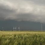 A gray, stormy landscape as a powerful storm sweeps across a field