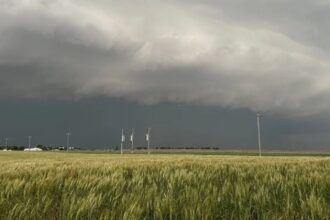 A gray, stormy landscape as a powerful storm sweeps across a field