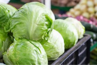 A photograph of a group of lettuces placed in a supermarket basket