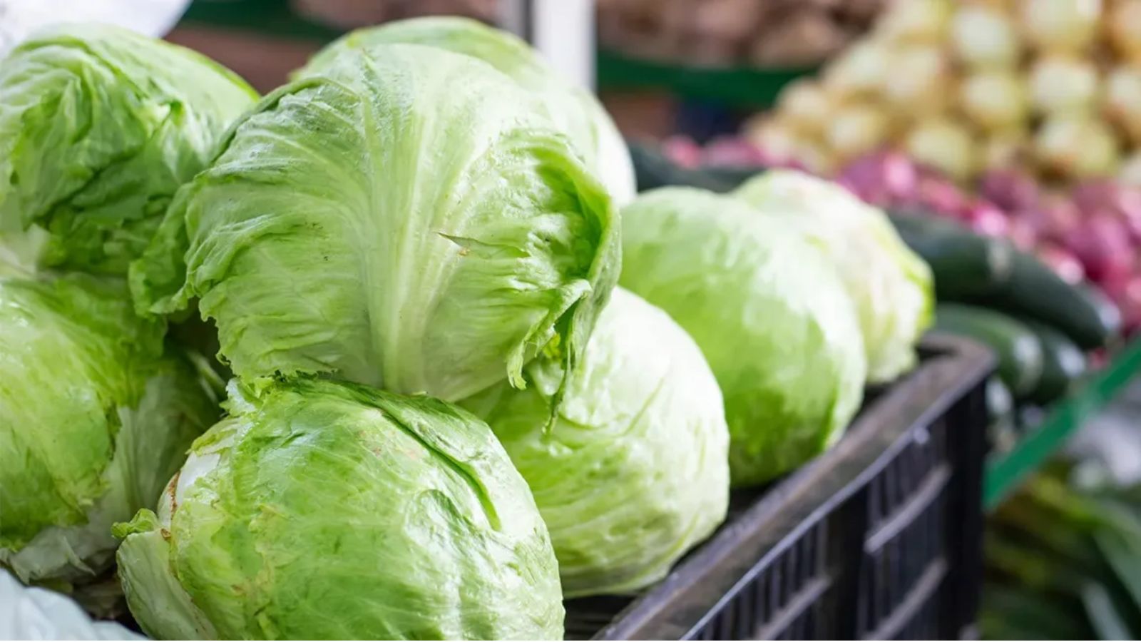 A photograph of a group of lettuces placed in a supermarket basket