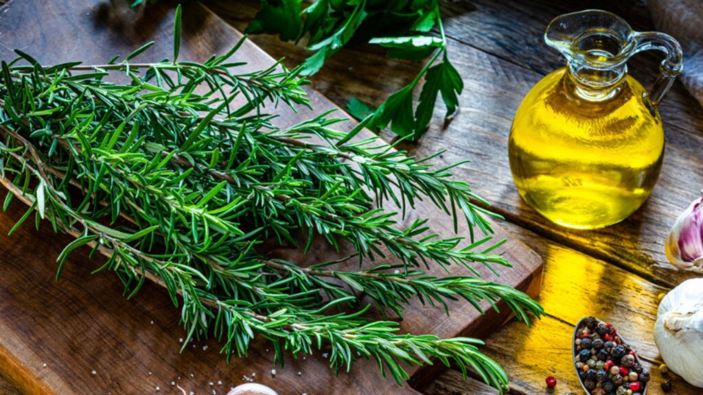 Rosemary the natural herb that could improve digestion and help your body better process protein A large sprig of rosemary placed on a wooden kitchen cutting board, with a bottle of rosemary oil beside the sprig