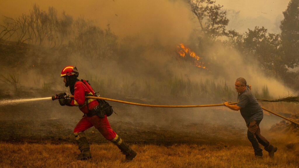 Several firefighters running while holding a hose to extinguish a wildfire