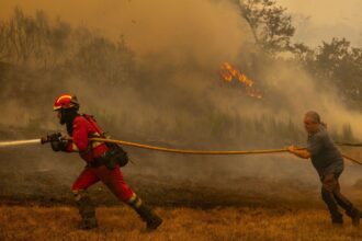 Several firefighters running while holding a hose to extinguish a wildfire