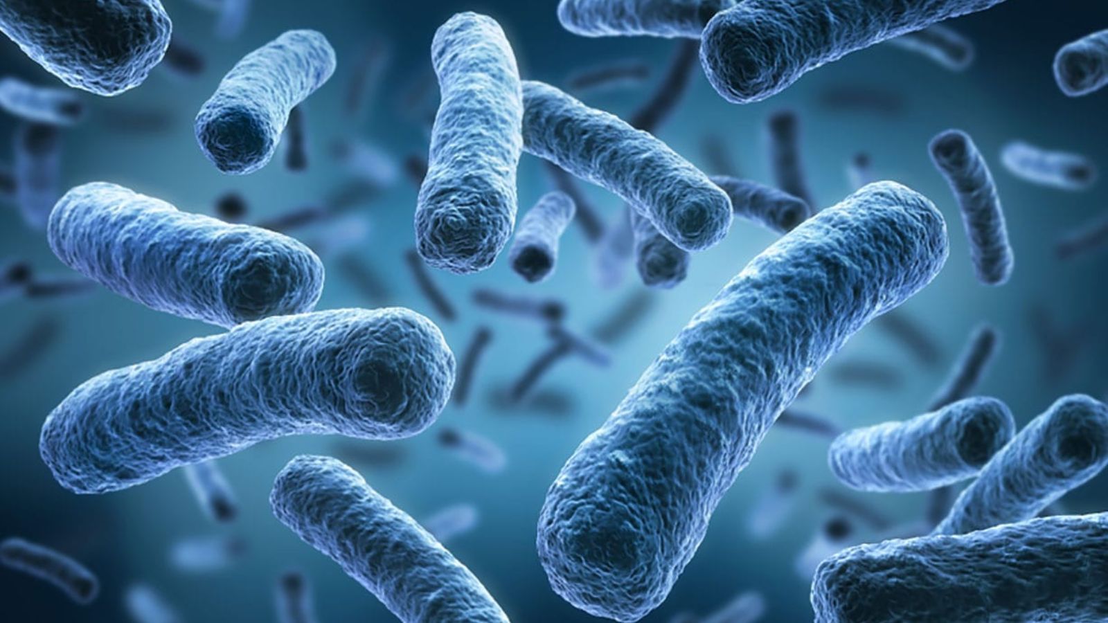 New York on alert: Legionnaires’ disease claims another life as cases continue to rise New York on alert: Legionnaires’ disease claims another life as cases continue to rise