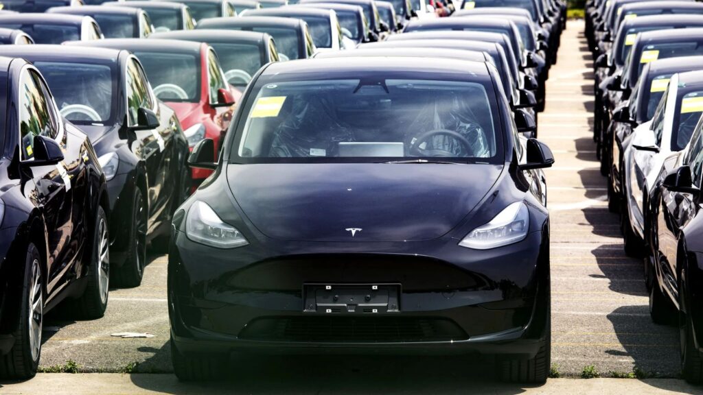 The United States sets Its sights on Tesla following a concerning number of fatalities Several Tesla vehicles lined up in rows and covered to protect them from the sun