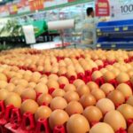 Several large cartons of eggs stacked on a pallet inside a supermarket