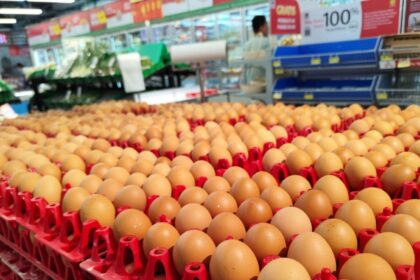 Several large cartons of eggs stacked on a pallet inside a supermarket