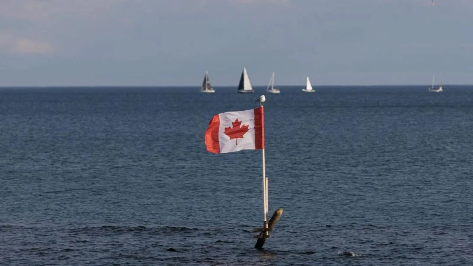 The great Lake Ontario with several small boats sailing across it