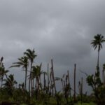 A location in Hawaii with heavy clouds and several palm trees swaying in the strong winds